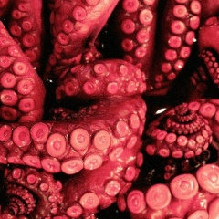 Такеши Адо, 09.03, Павлодар