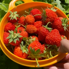 Динара Айтуганова, 31.03, Атырау