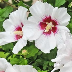 Екатерина Алейникова, 29.08, Seoul