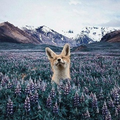 Елена Удалая, 24.04, Пятигорск