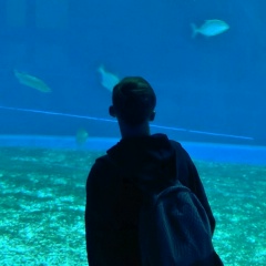 Алексей Володин, 10.11