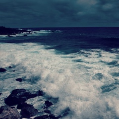 Cypress Tse, 22.11