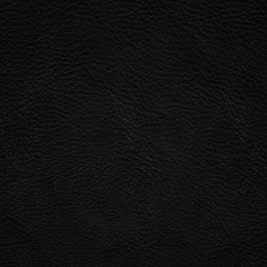 Юлия Шевырёва, Мурманск