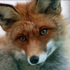 Анастасия Чернова, 24.04