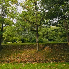Любовь Кононова, Санкт-Петербург