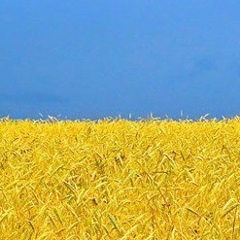 Брюс Туджейлот, 07.03, Донецк