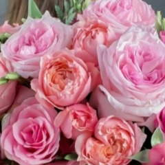 Наталья Староверова, 16.01