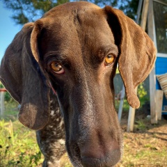 Стас Лесик, 06.10.1982, Киров