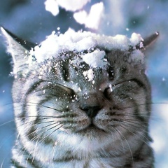 Юлия Чижкова, 29.05, Санкт-Петербург