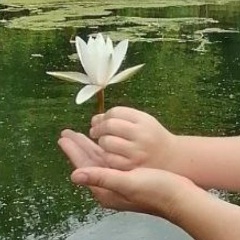 Елена Зверева, 27.07, Ульяновск