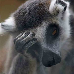 Дмитрий Спиридонов, 17.09, Екатеринбург