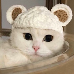 Aigerim Zhardemova, Атырау