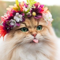 Айгуль Маутова, 25.12, Тюмень