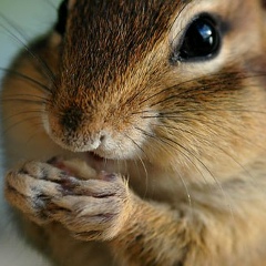 Екатерина Мараканова, 20.08.1984, Москва