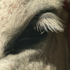 Аа А Э, 08.06.1992, Ош