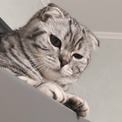 Андрей Бушин, 06.07, Балашиха