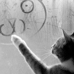 Наталья Шуляева, Волгоград