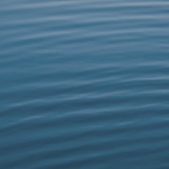 Ирина Ремизова, Москва