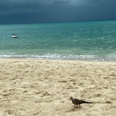 Олежа Тележкин, 04.08, Санкт-Петербург