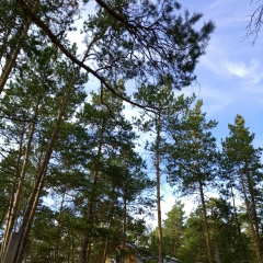 Яна , 05.12, Якутск