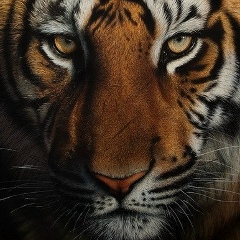 Ержан Белгожаев, 02.12, Алматы