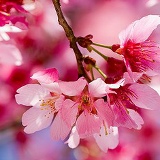 Евгения Зотова, 09.10, Новосибирск