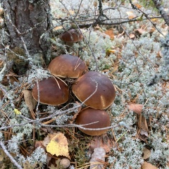 Надежда Гайнутдинова, 02.02, Санкт-Петербург
