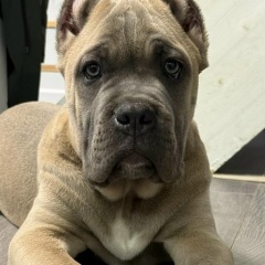 Вячеслав Варфоломеев, 21.05, Уфа