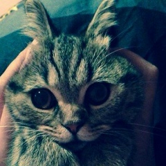 Ленуська Незнаю), 16.04.1994, Ступино (деревня)