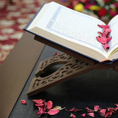 Әбілқайыр Абайұлы, 26.02, Шымкент