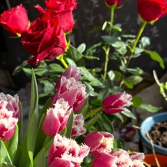 Надежда Ананьева, 05.11.1984, Санкт-Петербург