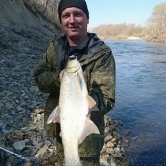 Андрей Середнёв, 01.07.1985