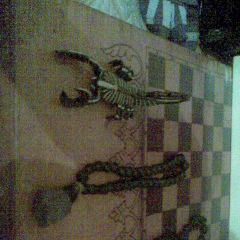 Юра Касапчук, 27.03.1990, Николаев