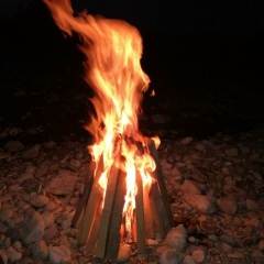 Ада Кокаева, 30.05, Владикавказ