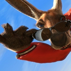 Игорь Чемерис, 24.03, Львов