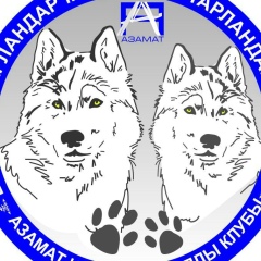 Диана Рысбекова, 14.12.1994