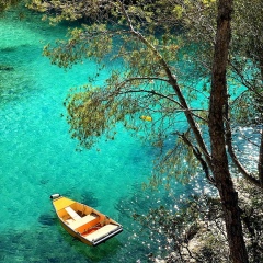 Виктория Голубецкая, Москва