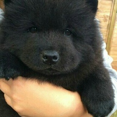 Канат Мухамбетов, 28.12.1985, Уральск