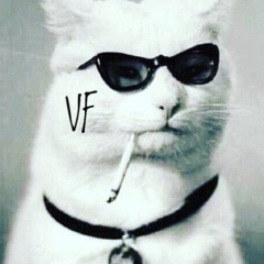 Whitetrashheroes Григорьев, 13.03, Санкт-Петербург