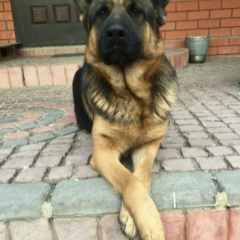 Anuar Kairbayev, 09.01.1989, Актобе