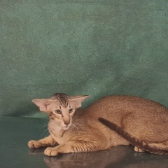 Марина Анатольевна, 10.03