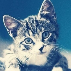 Виктория Маллеева, Красноярск