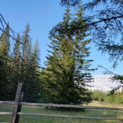 Андрей Т, 05.07.1981, Кутана