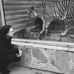 Антон Аничкин, Санкт-Петербург