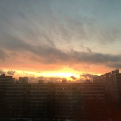 Карина Ясинская, 07.12.1987, Москва