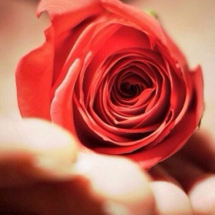 София Рональдинова, 11.01.1997, Байконур