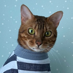 Виктория Черных, 11.05.1994, Новый Уренгой