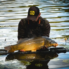 Николай Пытляк, 21.05.1986, Москва