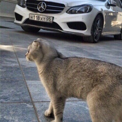 Павел Волошин, 09.12, Москва