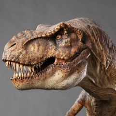 Роман Шиков, 29.01, Москва